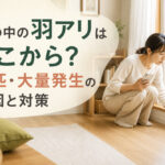 家の中の羽アリはどこから？数匹・大量発生の原因と対策