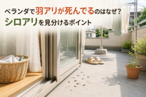 ベランダで羽アリが死んでるのはなぜ？シロアリを見分けるポイント
