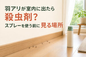 羽アリが室内に出たら殺虫剤?スプレーを使う前に見る場所