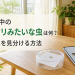 家の中の羽アリみたいな虫は何？正体を見分ける方法