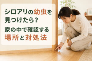 シロアリの幼虫を見つけたら？家の中で確認する場所と対処法
