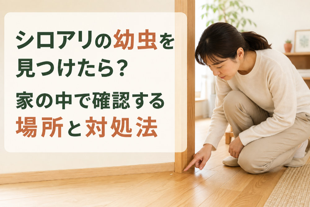 シロアリの幼虫を見つけたら？家の中で確認する場所と対処法