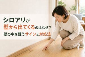 シロアリが壁から出てくるのはなぜ？壁の中を疑うサインと対処法