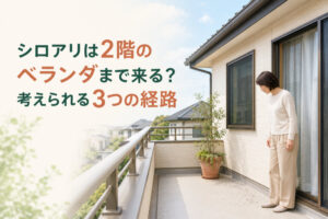 シロアリは2階のベランダまで来る？考えられる3つの経路