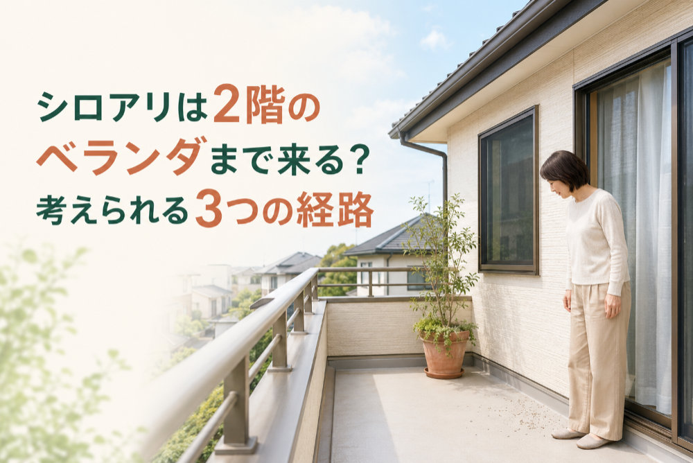 シロアリは2階のベランダまで来る？考えられる3つの経路