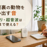 屋根裏の動物を追い出す音｜アプリ・超音波はどこまで使える？