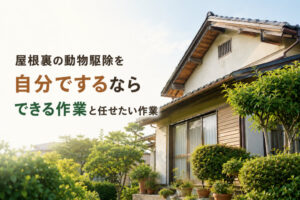 屋根裏の動物駆除を自分でするなら｜できる作業と任せたい作業