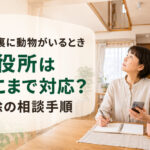 屋根裏に動物がいるとき市役所はどこまで対応？駆除の相談手順