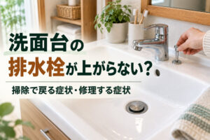 洗面台の排水栓が上がらない?掃除で戻る症状・修理する症状