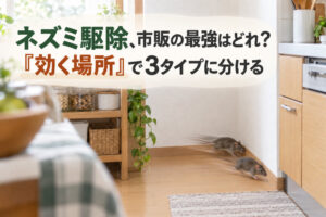 ネズミ駆除、市販の最強はどれ？「効く場所」で3タイプに分ける