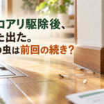 シロアリ駆除後、また出た。その虫は前回の続き？