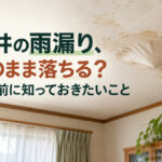 天井の雨漏り、このまま落ちる？触る前に知っておきたいこと