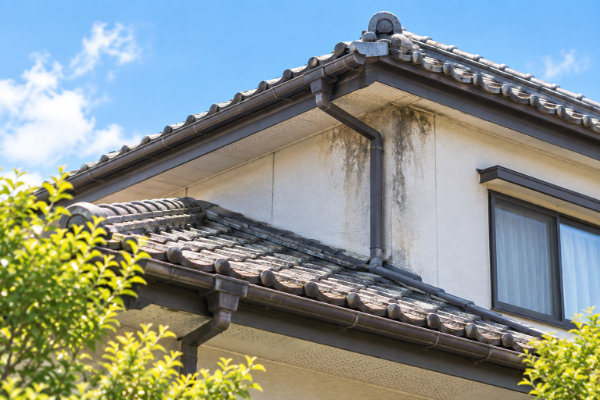 屋根・雨漏りの記事を見る